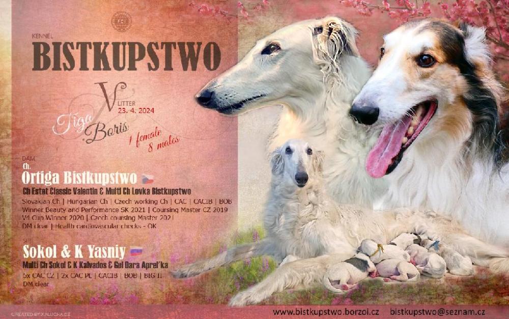 Vrh V - Bistkupstwo
