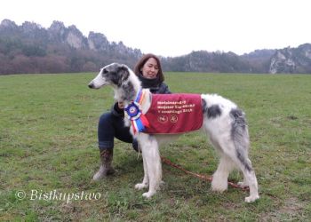 Křídlovka Bistkupstwo