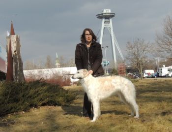 Ch Lovka Bistkupstwo