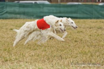 Sestry Ortiga a Olověnka