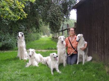 z každodenní vycházky