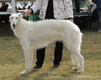 Quillaia Bistkupstwo