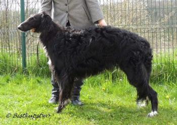 Toyen Bistkupstwo - 11 měsíců