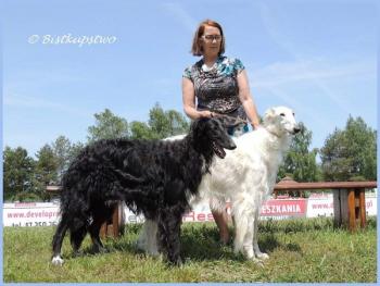 CACIB Rzesow 28.5.2023