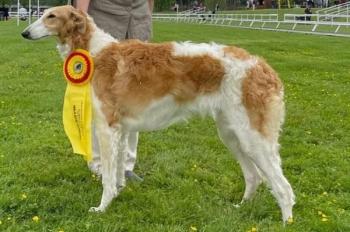 Undina Bistkupstwo - Dora