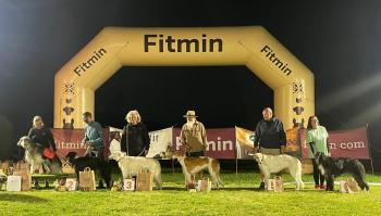 Mistrovství ČR, CACIL Humpolec